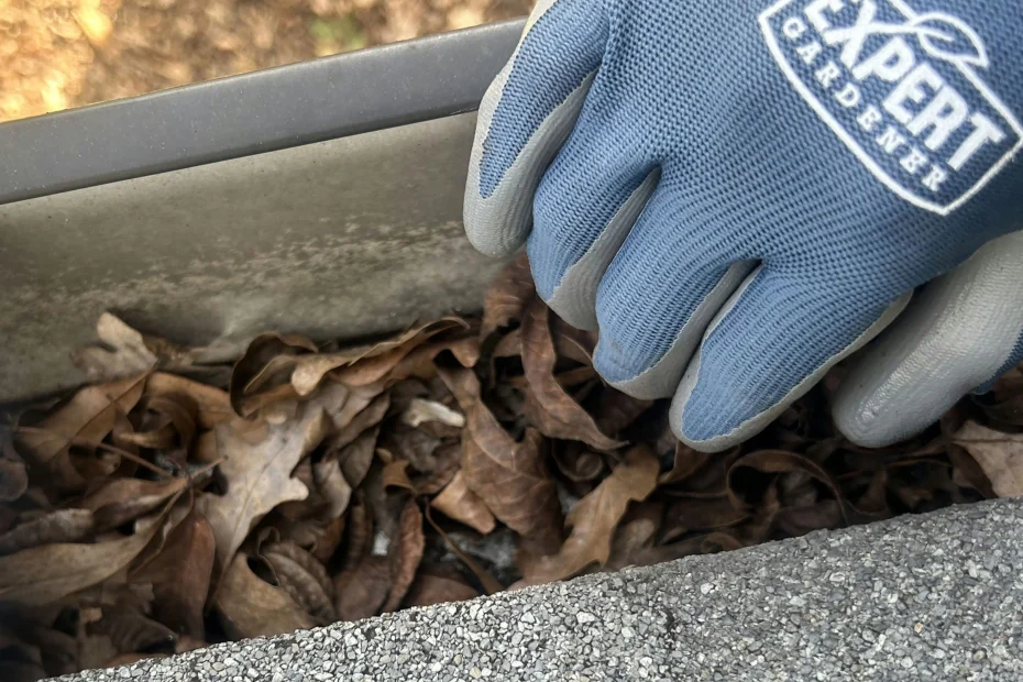 Gutter Cleaning New Port Richey FL