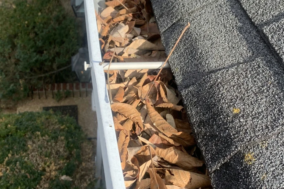 Gutter Cleaning New Port Richey FL