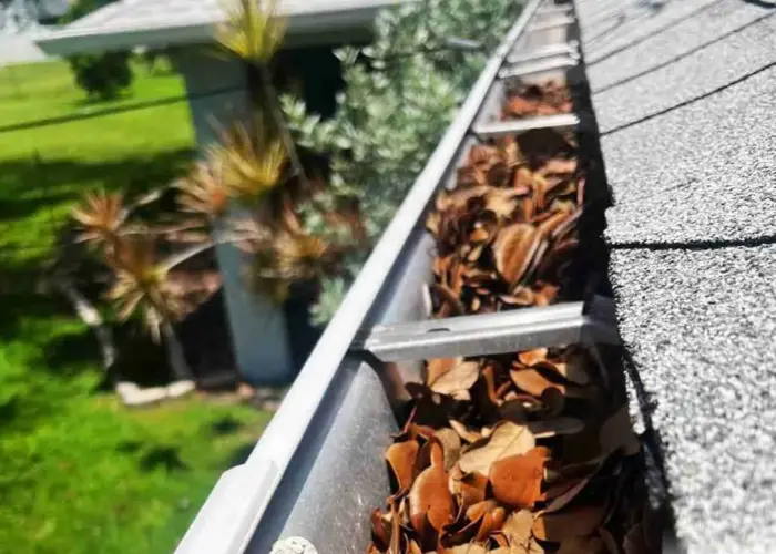 Gutter Cleaning New Port Richey FL home page